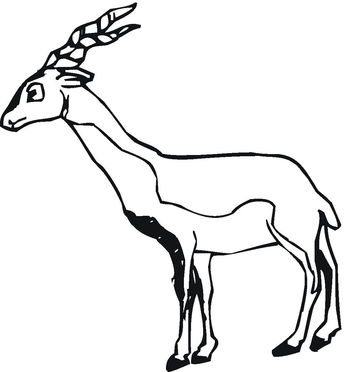 Antylopa, gazela, gnu kolorowanki